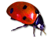 Captcha image 1587